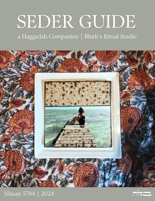 Passover Seder Guide 2024: A Haggadah Companion by Bluth