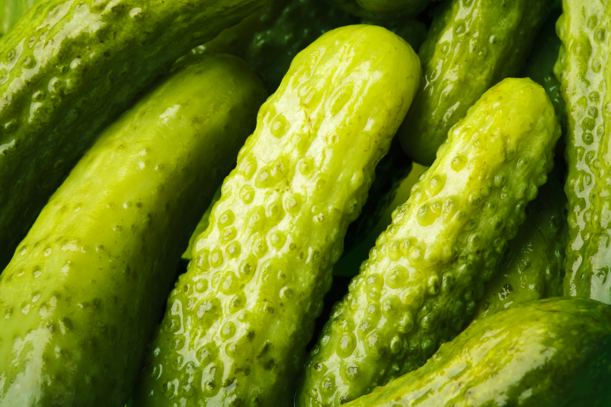 Kosher Dills… Pickles and the Jewish people