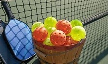 Wanna Play Pickleball?