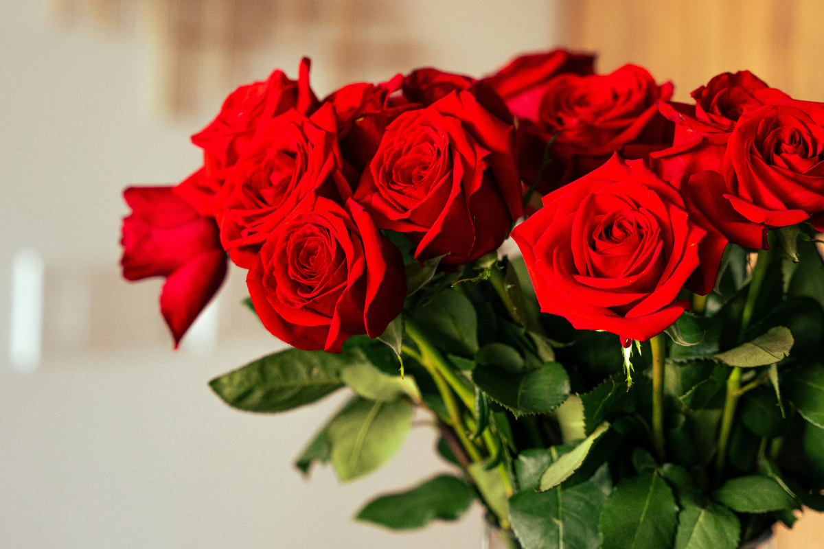 Red roses bring New Year’s joy to Seven Acres, Medallion residents