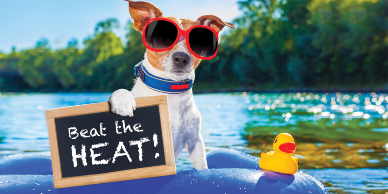 Jewish Ice Breakers to Beat the Heat 