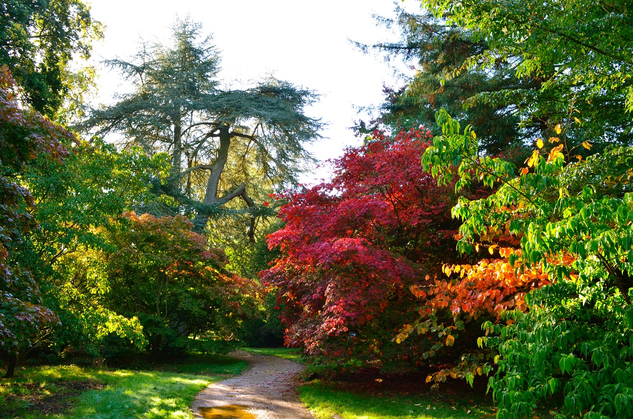Asherah at the Arboretum