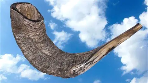 Shofar Reflection Program
