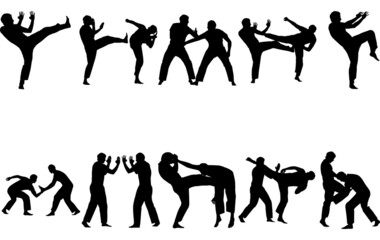 Krav Maga and Israel Origins